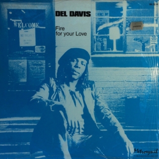 Del Davis – Fire For Your Love / The Soul Of American Woman (1984) 12" Vinyl