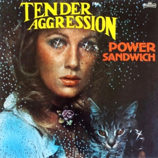 Tender Aggression ‎– Power Sandwich (1976)