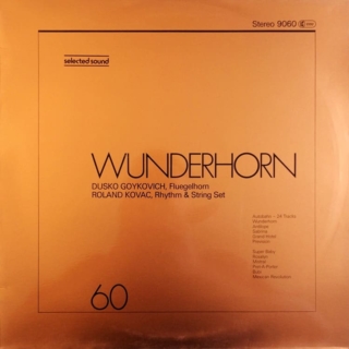 Dusko Goykovich, Roland Kovac, Rhythm & String Set ‎– Wunderhorn (1977)
